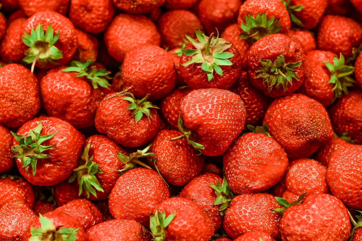 The First Strawberries: A Case for Waiting